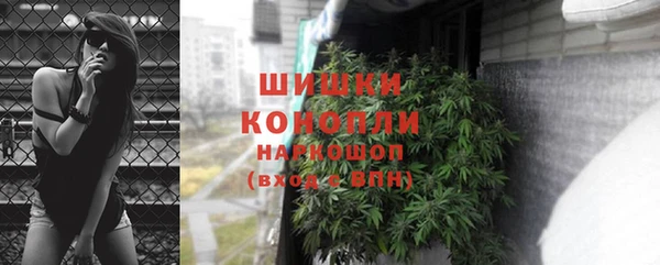 PSILOCYBIN Новозыбков