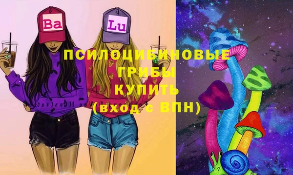 амф Новокубанск