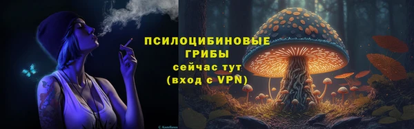 PSILOCYBIN Новозыбков