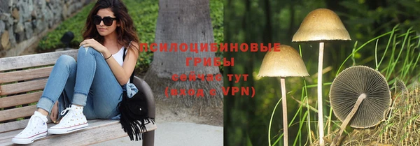 PSILOCYBIN Новозыбков