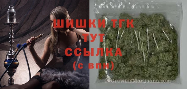 PSILOCYBIN Новозыбков